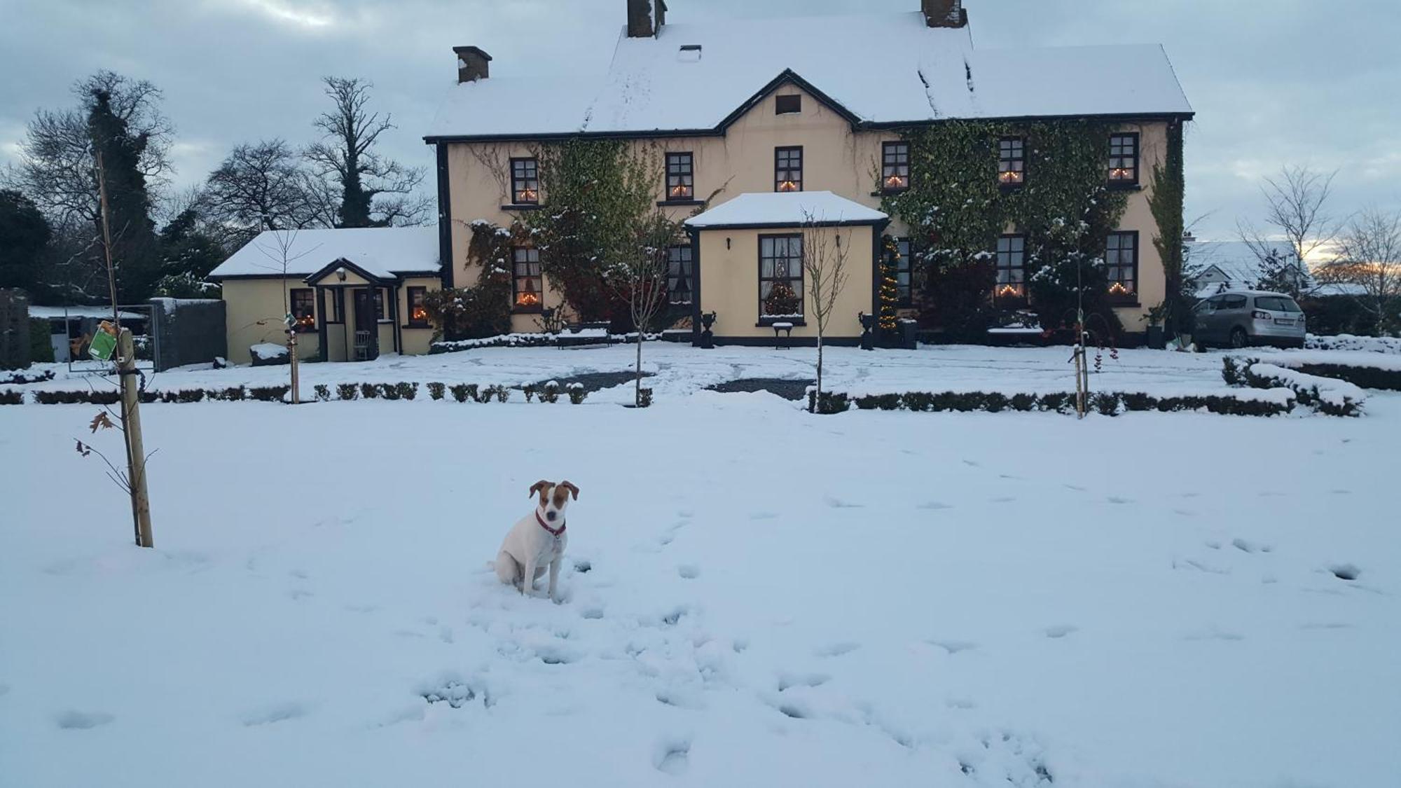 Charlotte'S Way B&B Banagher Buitenkant foto