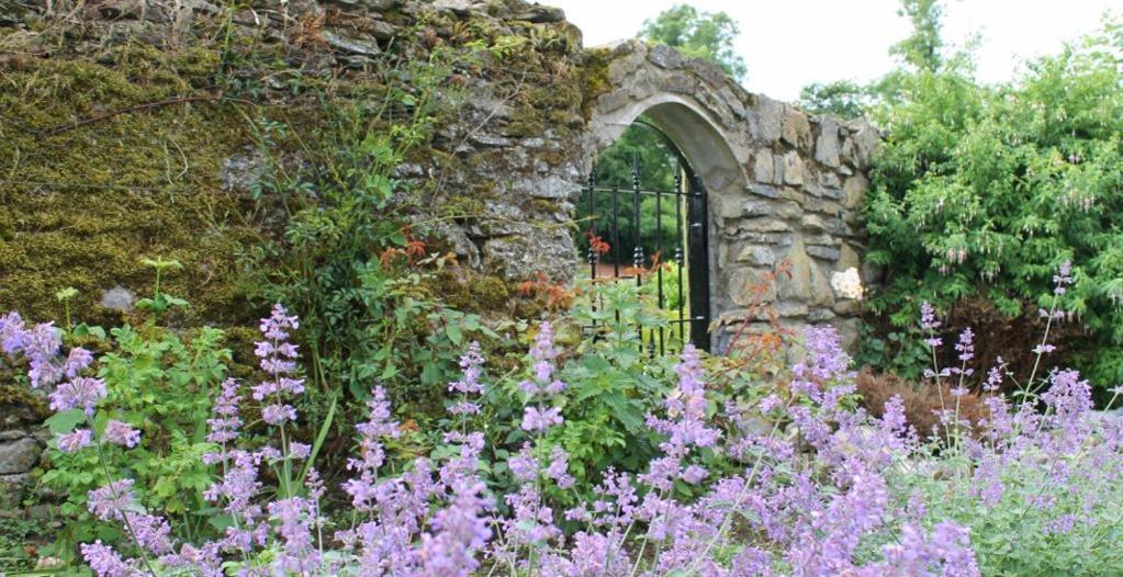 Charlotte'S Way B&B Banagher Buitenkant foto